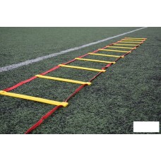 Coordination Ladder, 6m length